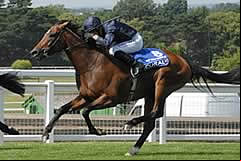 Rip Van Winkle