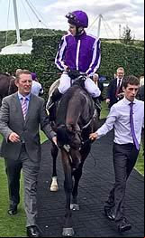 Highland Reel