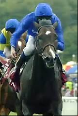 Toormore