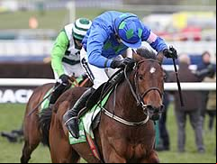 Hurricane Fly