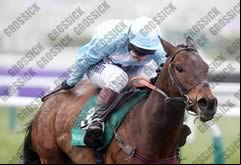 Cheltenian