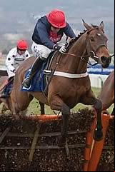 Bobs Worth