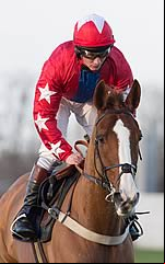 Sire De Grugy