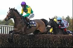 Kauto Star 