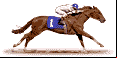 horse laying