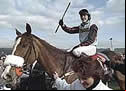 Tony McCoy