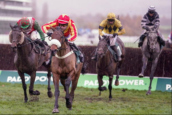 horse race