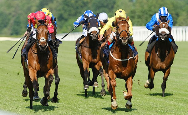 horse race
