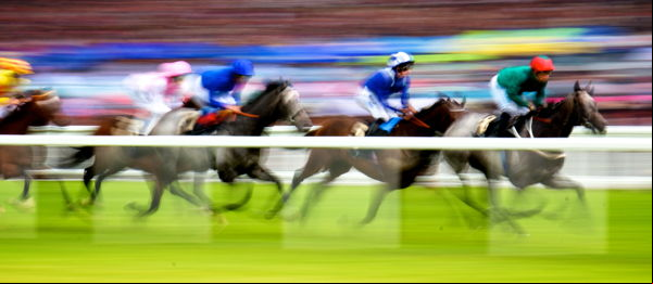 Horse Race