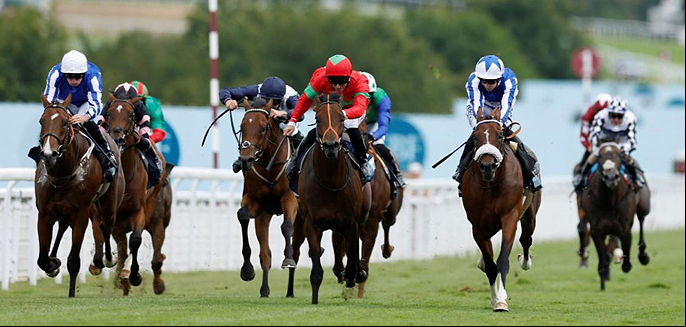 horse race