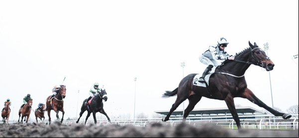 horse race