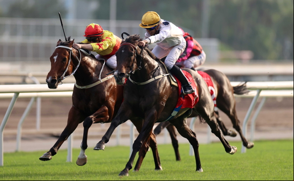 horse racing