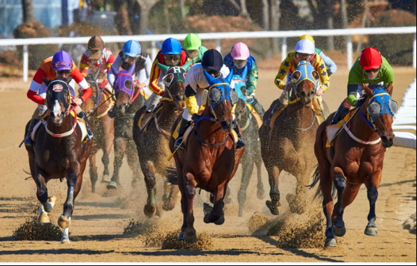 A horse race