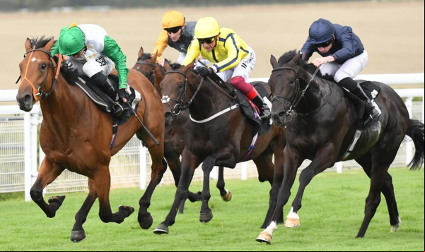 horse race