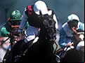 haydock park