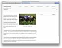 Thirsk Online