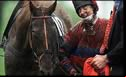 grand national tips